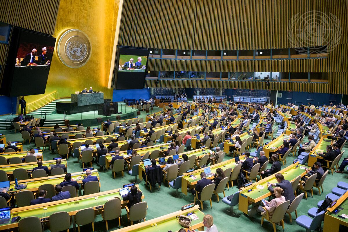 UN General Assembly